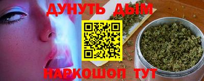 сатива Краснознаменск
