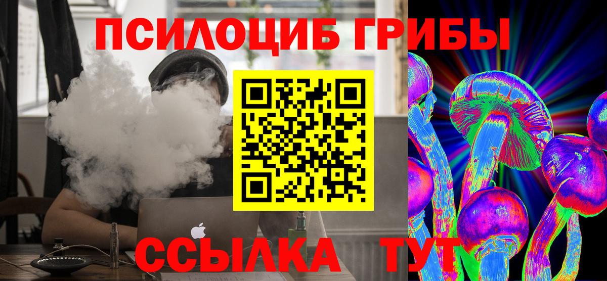 Псилоцибиновые грибы MAGIC MUSHROOMS  Вход с VPN  Осинники 